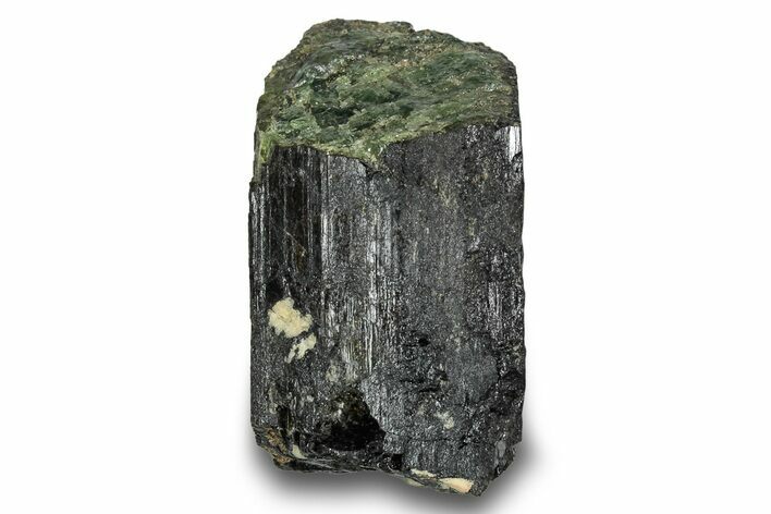 Black & Green Elbaite Tourmaline Crystal - Leduc Mine, Quebec #244915